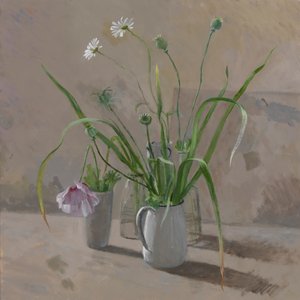 雏菊罂粟花 作者 威廉·帕克